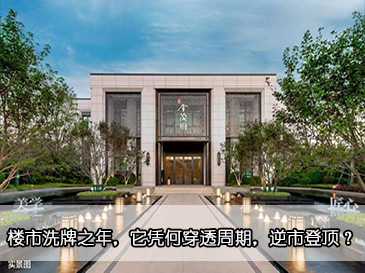 樓市洗牌之年，它憑何穿透周期，逆市登頂？