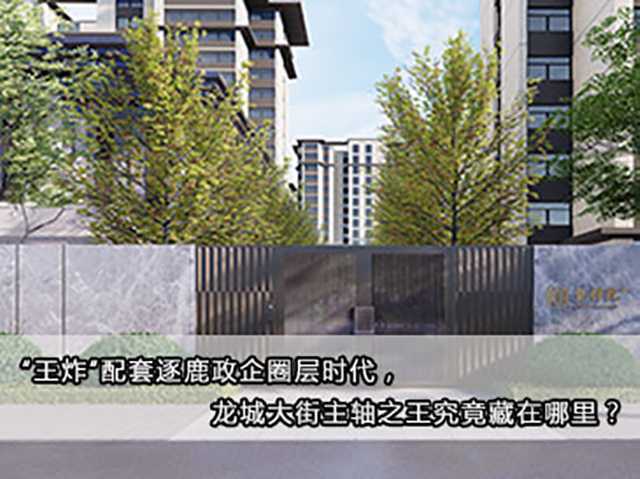 “王炸”配套逐鹿政企圈層時代，龍城大街主軸之王究竟藏在哪里？ 