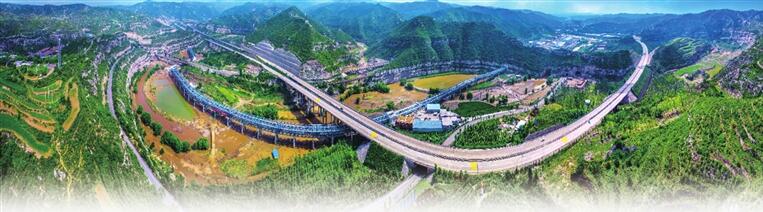 樹綠了 花開了 鳥來了 在小區和春天“撞個滿懷”