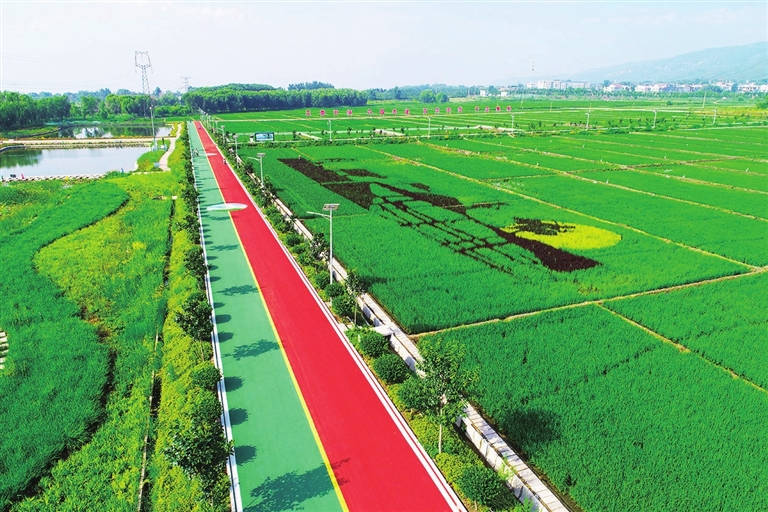 太原環境空氣質量穩中向好 PM2.5濃度同比下降超兩成 